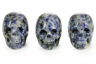 Polished Blue Point Sodalite Skulls #378717