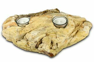 Fascinating, Petrified Wood Candle Holder - Madagascar #378663