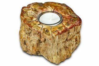 Polished Petrified Wood Candle Holder - Madagascar #378681