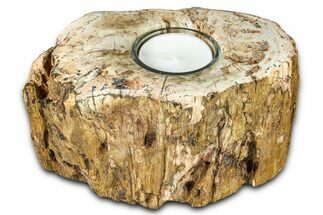 Polished Petrified Wood Candle Holder - Madagascar #378685