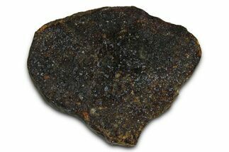 Chondrite Meteorite Section ( g) - NWA #378822