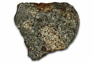 Chondrite Meteorite Section ( g) - NWA #378823