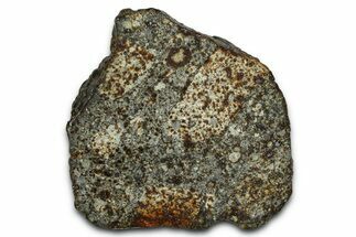 Chondrite Meteorite Section ( g) - NWA #378825