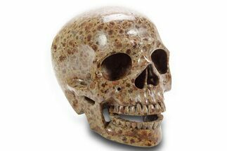 Realistic, Polished Wavellite Skull #378736