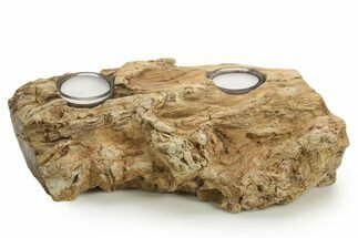 Unique, Petrified Wood Candle Holder - Madagascar #378662