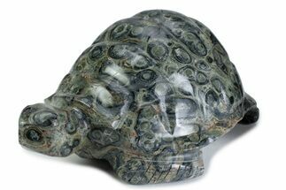Polished Kambaba Jasper Tortoise - Madagascar #378836
