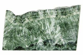 Polished Seraphinite Slab - Korshunovkiy Mine, Siberia #378142