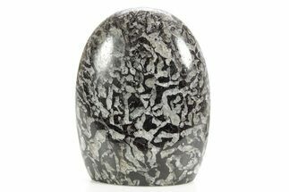 Freestanding Polished Graphic Tourmaline - Madagascar #378851