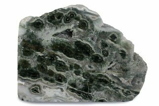 Polished Orbicular Ocean Jasper Slab - Madagascar #379337