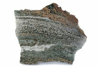 Polished Orbicular Ocean Jasper Slab - Madagascar #379343