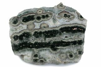 Polished Orbicular Ocean Jasper Slab - Madagascar #379348