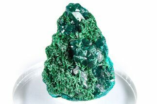Emerald-Green Dioptase Crystal Cluster w/ Malachite - DR Congo #379409