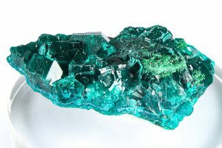 Emerald-Green Dioptase Crystal Cluster w/ Malachite - DR Congo #379426