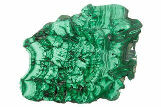 Flowery Polished Malachite Slab - D R Congo #379718