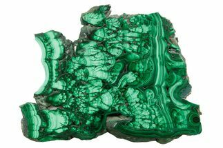 Flowery Polished Malachite Slab - D R Congo #379803