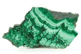 Flowery Polished Malachite Slab - D R Congo #379709