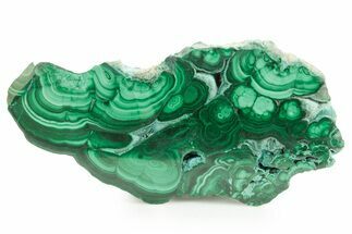 Flowery Polished Malachite Slab - D R Congo #379715
