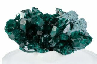 Lustrous Dioptase Crystals on Blue Plancheite - Congo #379987