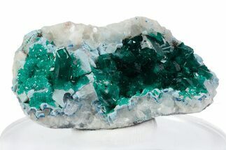 Gemmy Dioptase Crystals on Blue Plancheite & Calcite - Congo #379988