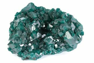 Stunning Dioptase Crystal Cluster - Congo #380004
