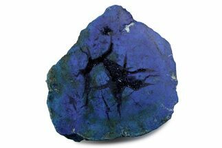 Vivid Blue Cut/Polished Azurite Nodule - Siberia #379829