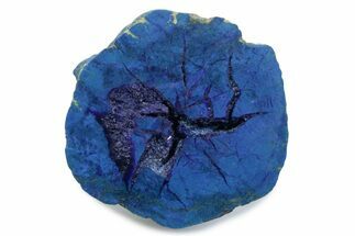 Vivid Blue Cut/Polished Azurite Nodule - Siberia #379911
