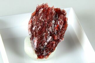 Lustrous Red Alurgite Crystal Cluster - South Africa #379825