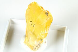 Natural Honey-Opal Specimen - Tanzania #380015