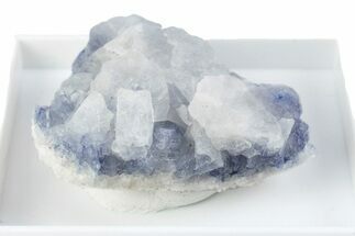 Brilliant Blue Dumortierite with Milky Quartz - Brazil #380121