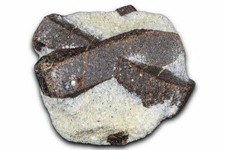 Twinned Staurolite Cross In Glittering Mica-Schist - Russia #380643