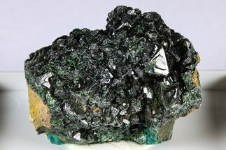 Forest-Green Libethenite Crystal Cluster - DR Congo #380367