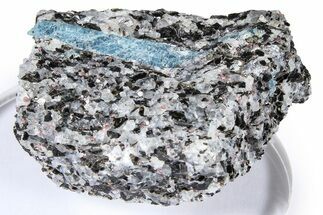 Fluorescent Kyanite & Garnet in Biotite-Quartz Schist - Russia #380667