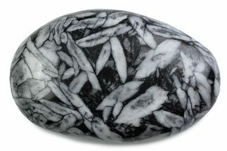 Polished Pinolite Palm Stone - Austria #380869