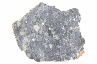 Bechar 003 Meteorites For Sale