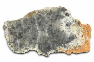 Lunar Meteorite ( g) Slice - Bechar #381627