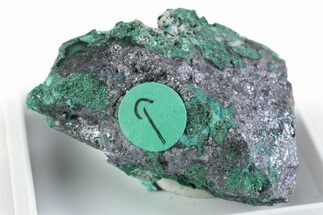 Rare Blue-Green Rouaite w/ Malachite & Cuprite - DR Congo #381389