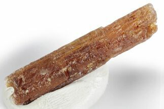 Rare Orange Kyanite Crystal - Tanzania #381411