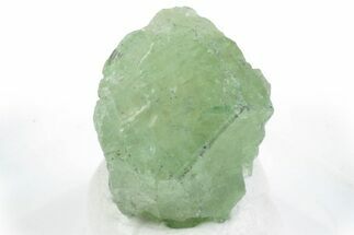 Lustrous Tsavorite Garnet Specimen - Tanzania #381449