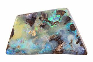 Colorful Polished Boulder Opal Specimen - Queensland, Australia #381712
