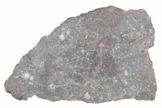 Laayoune 002 Meteorites For Sale