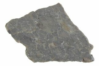 Lunar Meteorite ( g) Slice - Laayoune #381686