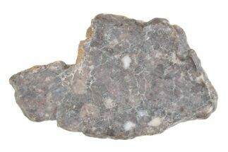 Lunar Meteorite ( g) Slice - Laayoune #381688