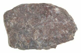 Lunar Meteorite ( g) Slice - Laayoune #381709