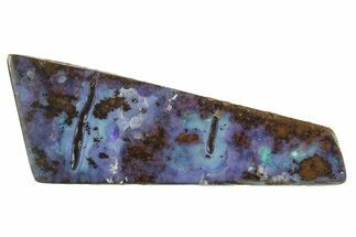 Colorful Polished Boulder Opal Specimen - Queensland, Australia #381739