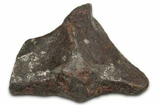 Canyon Diablo Iron Meteorite ( g) - Arizona #382006
