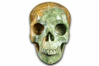 Realistic Autumn Jasper Skull #382114