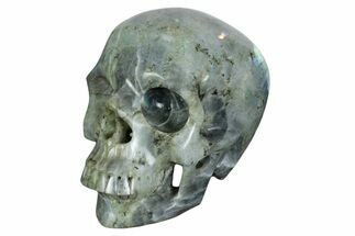 Realistic, Shimmering Labradorite Skull - Madagascar #382024