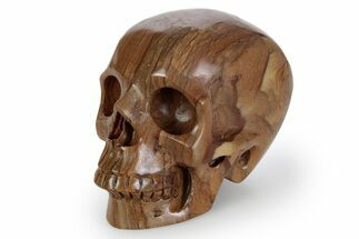 Realistic, Polished Picture Jasper Skull #381922