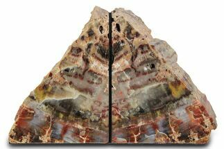 Tall Colorful Arizona Petrified Wood Bookends #382136