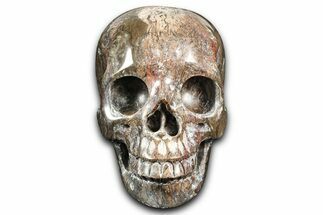 Realistic, Dark Coquina Stone Skull #382129